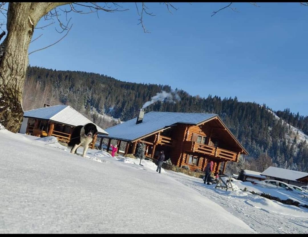 Casa De Poveste ซูเจวิตซา ภายนอก รูปภาพ